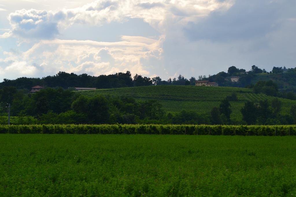 Bed And Breakfast Villa Novella Crocetta del Montello Buitenkant foto