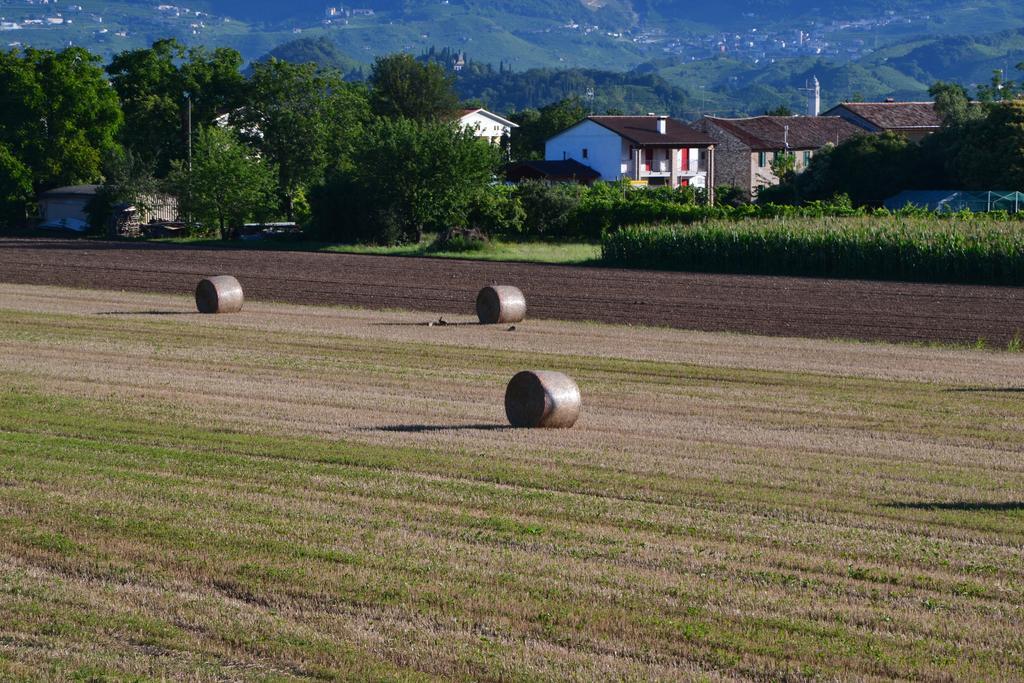 Bed And Breakfast Villa Novella Crocetta del Montello Buitenkant foto